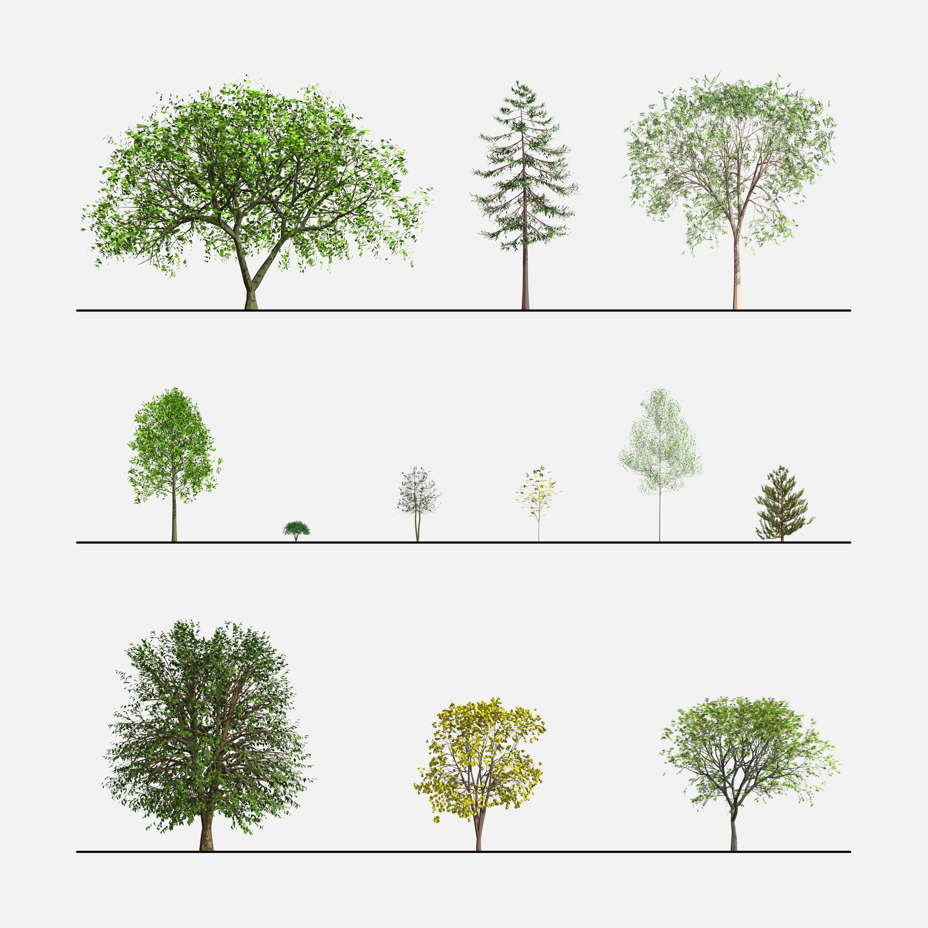 download revit trees families realistic 3d