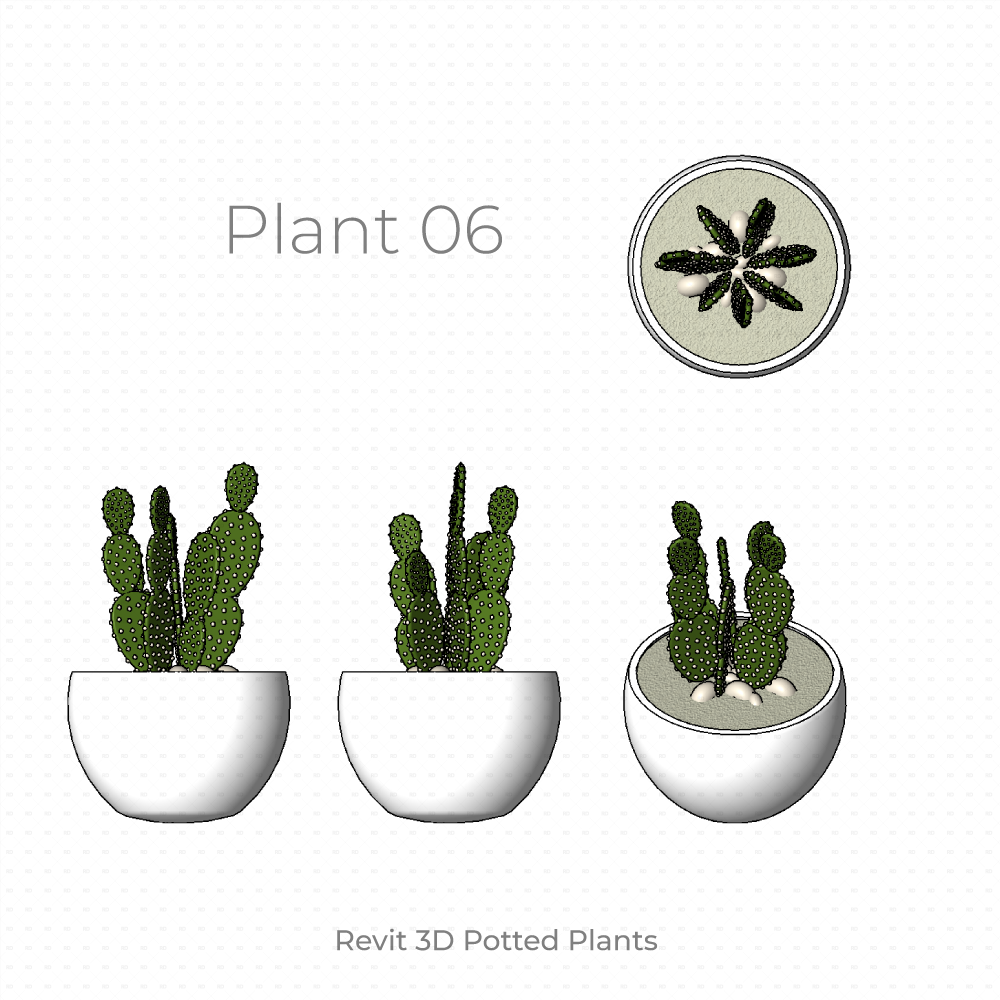 Revit Potted Plant Family cactus