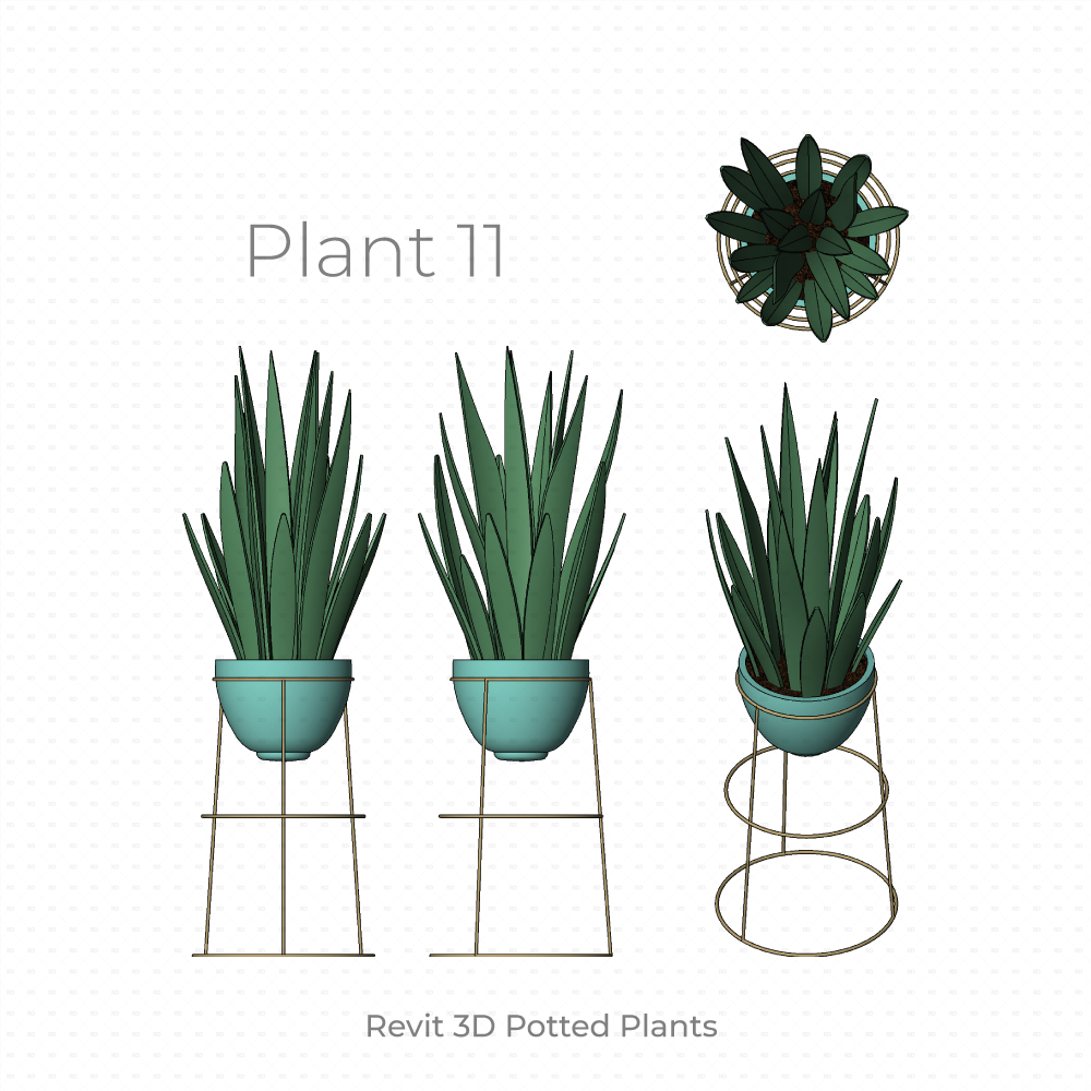 Revit Potted Plant Family sansevaria
