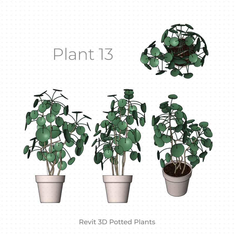 Revit Potted Plant Family pilea