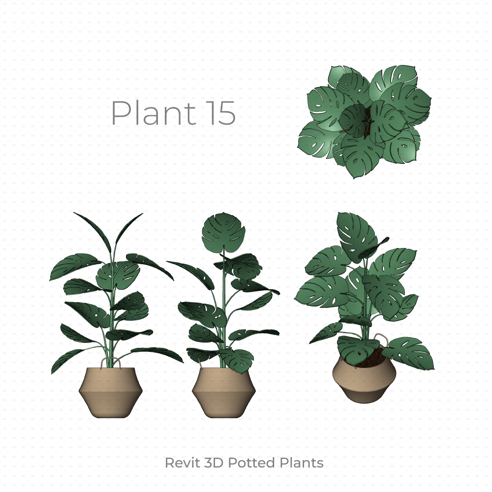 Revit Potted Plant Family monstera tree