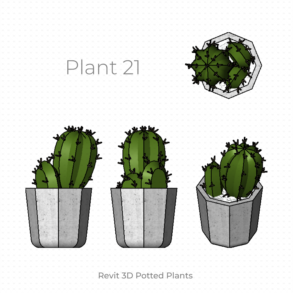 Revit Potted Plant Family succulent