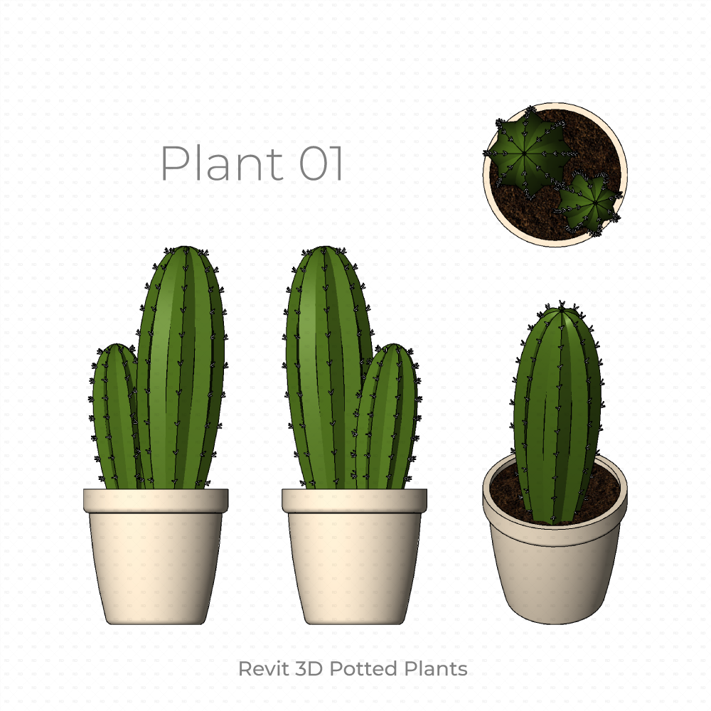 Revit Potted Plants Families cactus