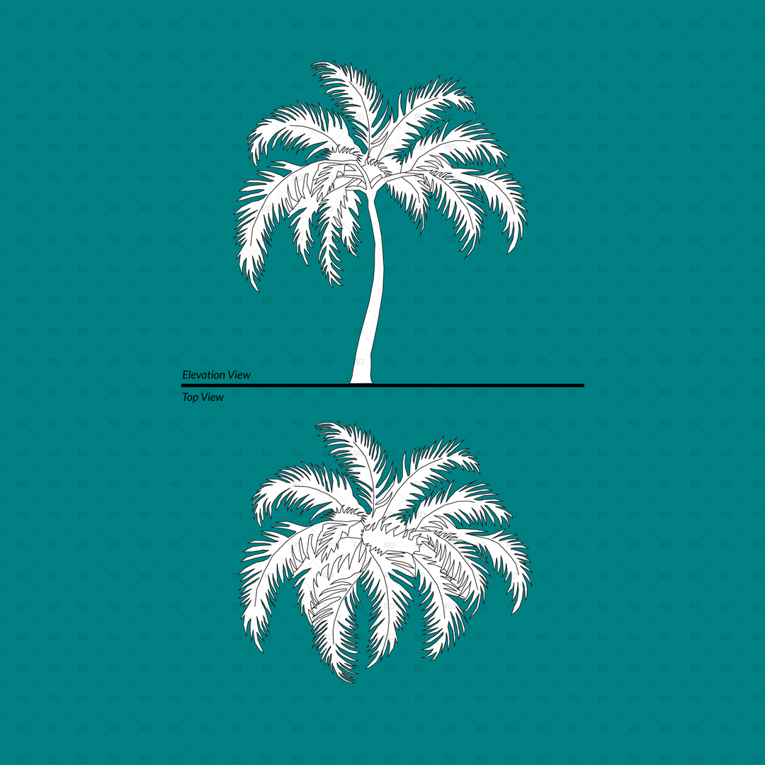 Revit 2D Trees (Scalable) Top + Elevation Views | RD Studio