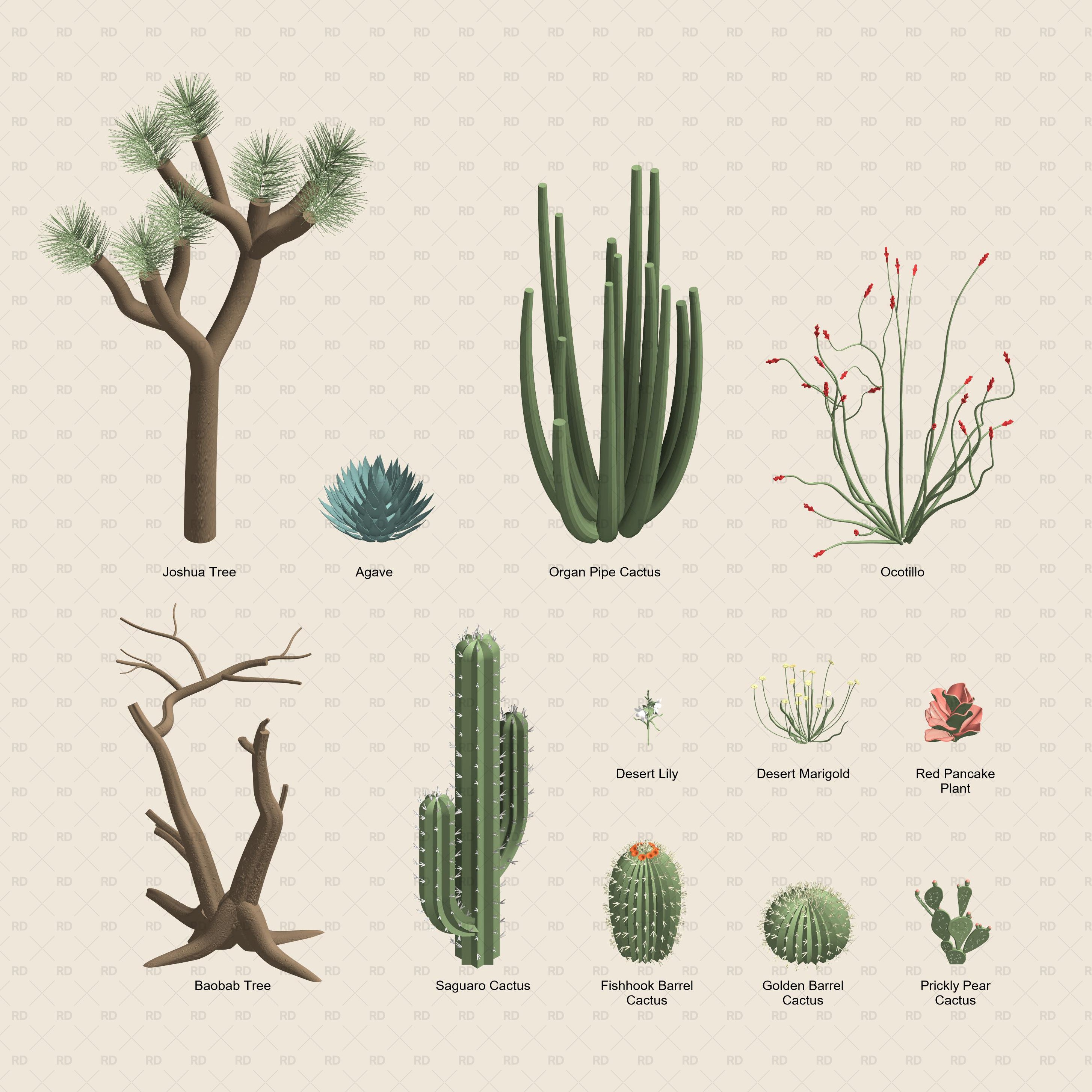 revit desert plant families