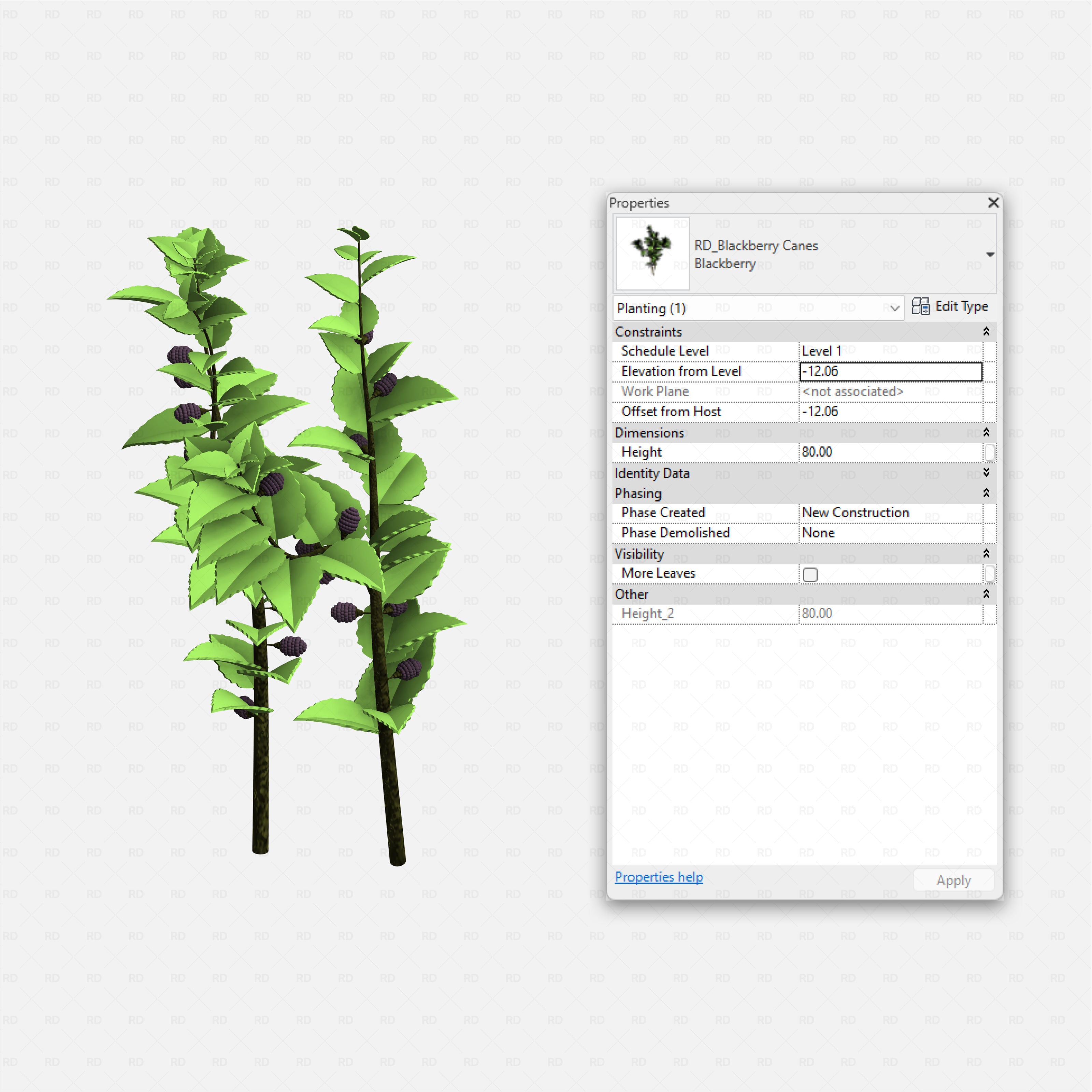 Revit Greenhouse Plants - Vines Shrubs and Trees Pack RD Studio BIM blocks rfa blackberry canes with ripe dark berries