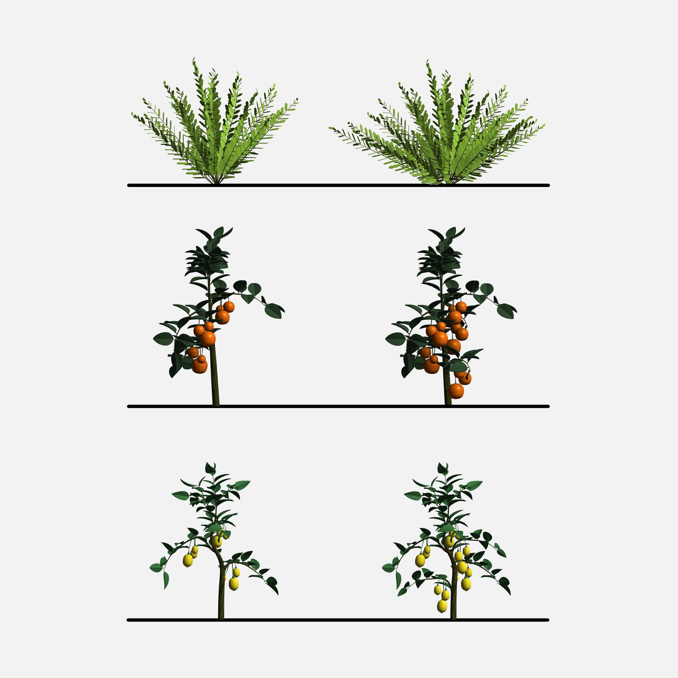 File Revit Fruit Download Revit Potted Plants | RD Studio