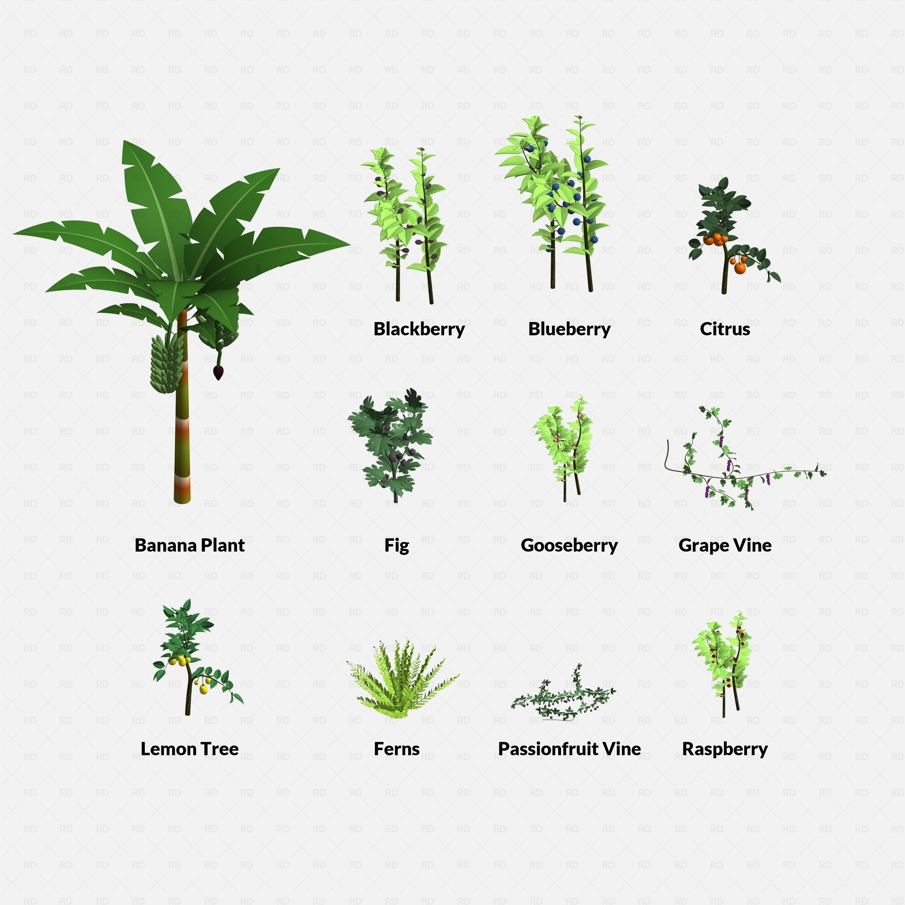 Revit Greenhouse Plants - Vines Shrubs and Trees Pack RD Studio BIM blocks rfa grid of banana plant, berry shrubs, citrus trees, vines and ferns