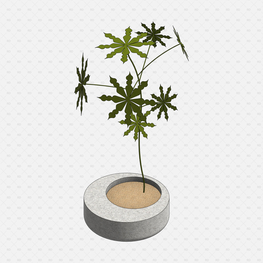 Download Revit Potted Plants | RD Studio