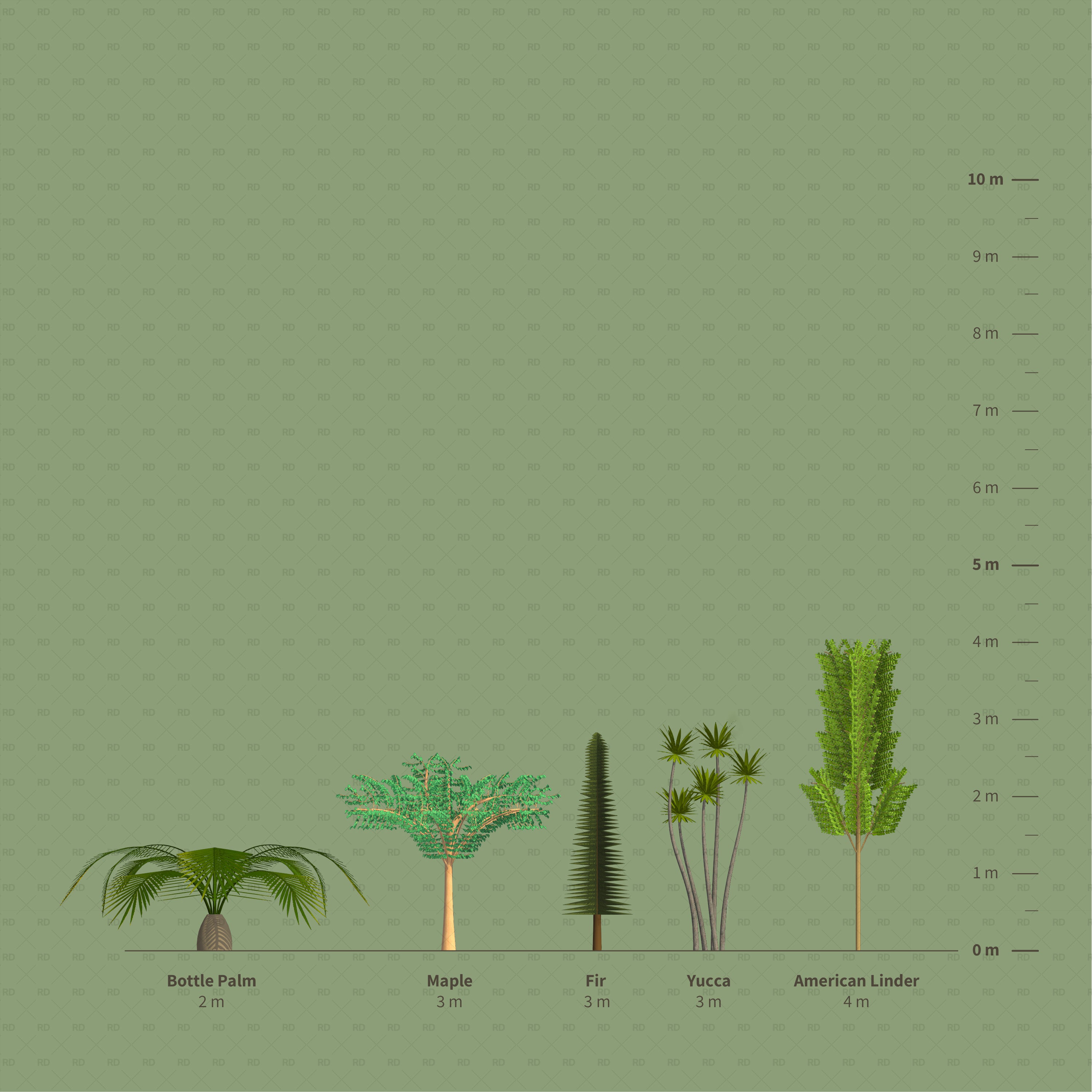 maple fir linder palm pine in revit