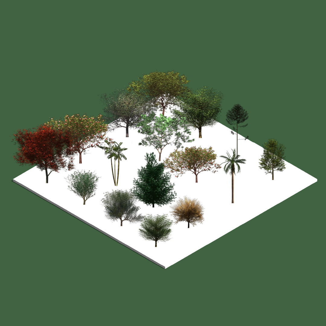 Tree Rvt Block Download Revit Tree Families (16 Trees) Concept and RPC | RD Studio