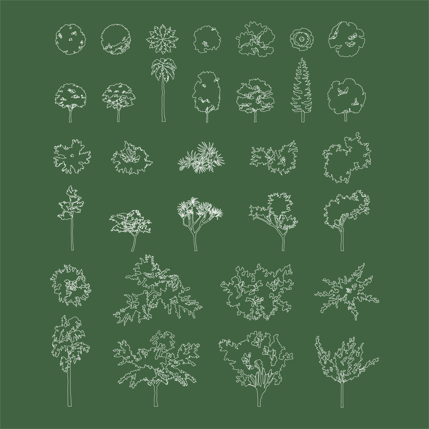 Download Revit Tree Families (16 Trees) Concept and RPC | RD Studio