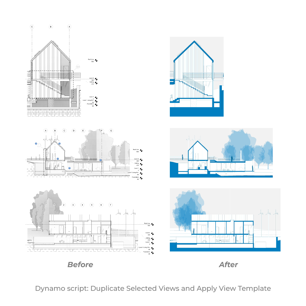 Download Dynamo Script: Duplicate Selected Views and Apply View Template