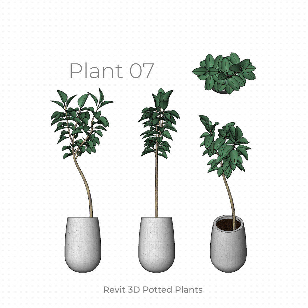 Download Revit 3D Planting - Potted Plants Families | RD Studio
