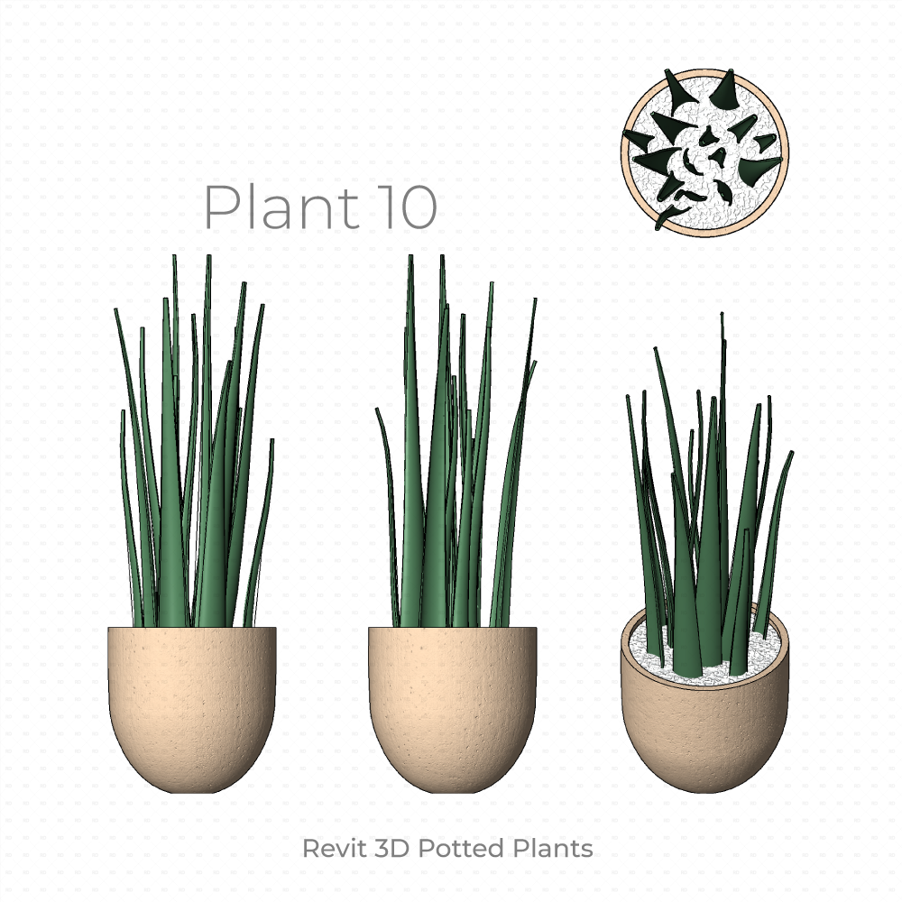 Download Revit 3D Planting - Potted Plants Families | RD Studio