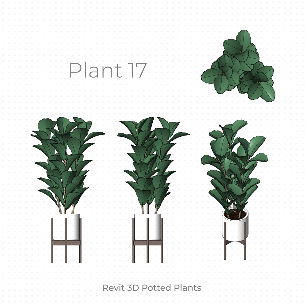 Download Revit 3D Planting - Potted Plants Families | RD Studio